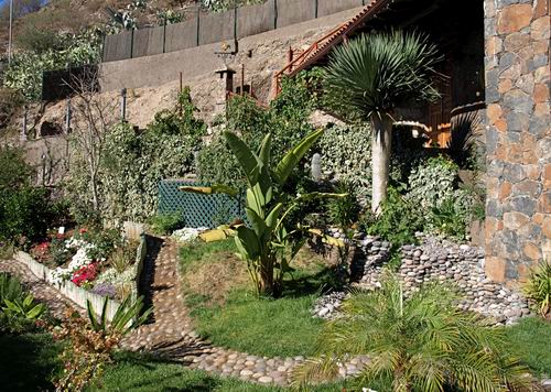 Gran_Canaria_Luxsferienhaus_cueva12.jpg Tropische Pflanzen im Garten