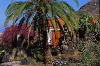 Gran Canaria Finca La Pintora - Der Garten