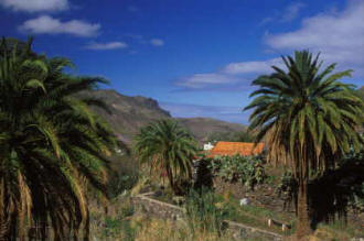 Gran Canaria Finca La Pintora - Die Aussicht