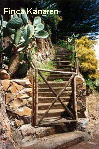 Gran Canaria Ferienhaus La Escalerilla - Die Treppe