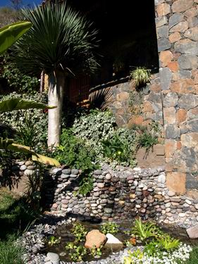 Gran_Canaria_Luxsferienhaus_cueva21.jpg  Ein kleiner Teich mit Wasserfall
