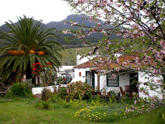 Ferienhaus Jacinta Pura - El Paso - La Palma West - Garten