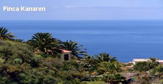 Panoramablick - Todoque - La Palma West