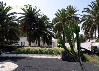 Lanzarote Ferienhaus auf der Finca la Crucita - Garten